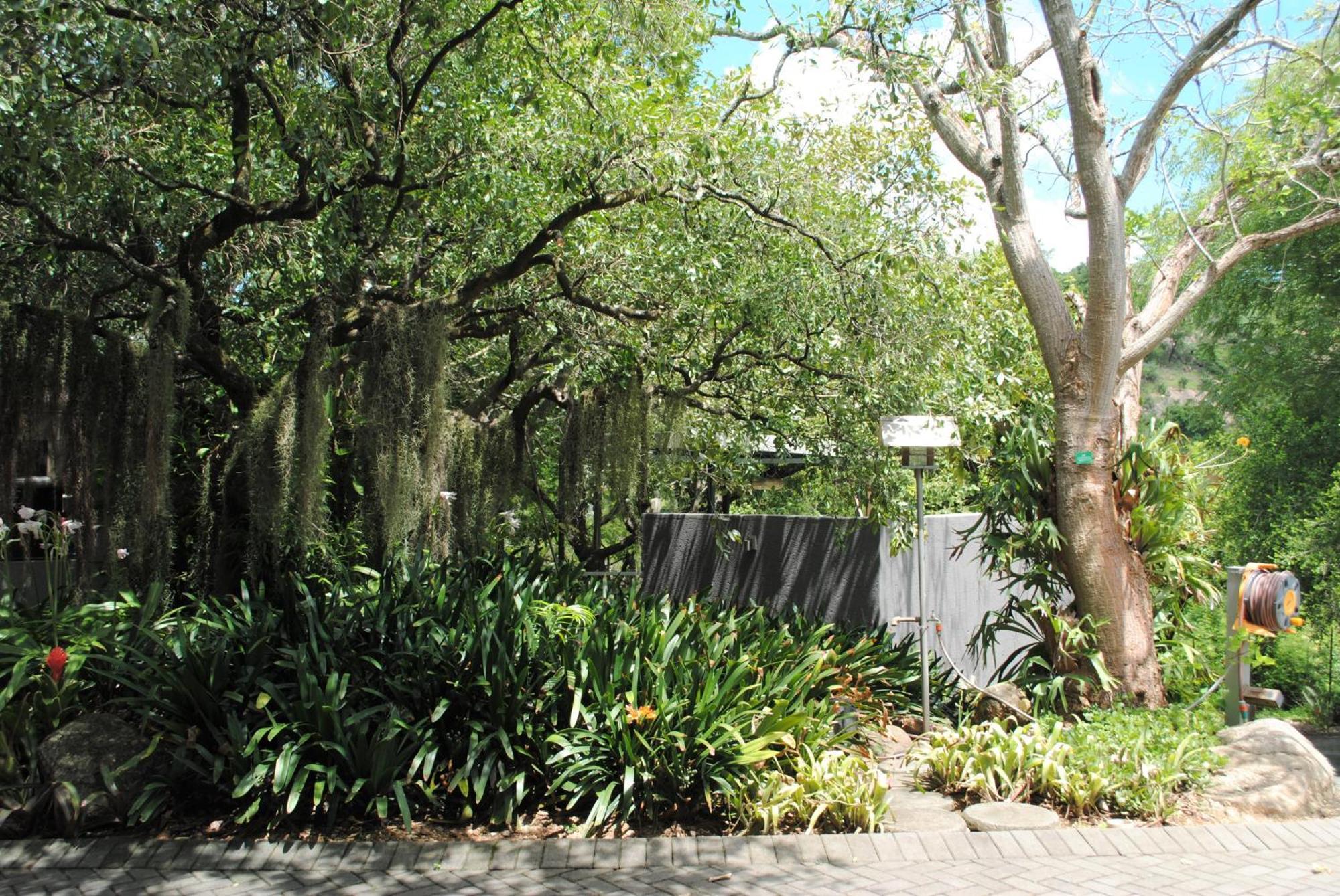 Birds Babble Self Catering Hotell Mbombela Eksteriør bilde