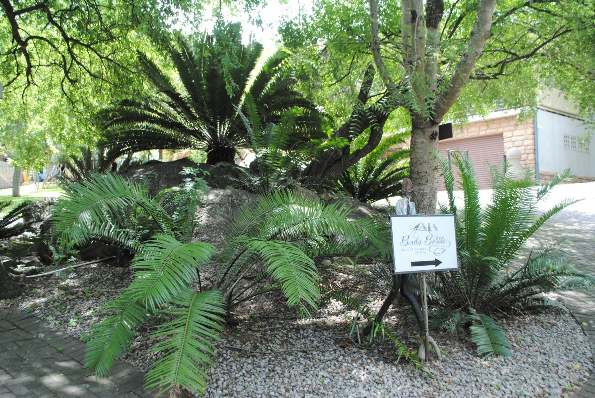Birds Babble Self Catering Hotell Mbombela Eksteriør bilde